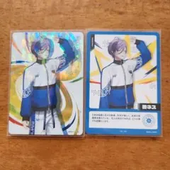 にじさんじ コレクションカード 榊ネス