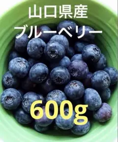 ブルーベリー600g 7/16収穫予定のサムネイル