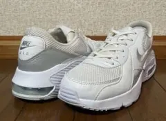 Nike Air Max ホワイト/グレー スニーカー