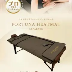 2026年最新】FORTuNA heatmatの人気アイテム - メルカリ