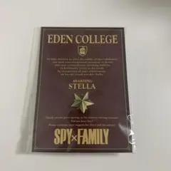 SPY×FAMILY展 スパイファミリー ステラ ピンズ