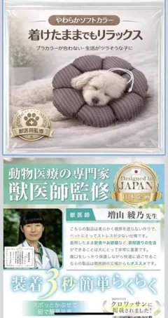 Item thumbnail for item fe716b13-8ac7-44bb-b8d9-38a228b81ebb