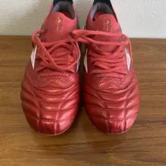 モレリアネオ4β