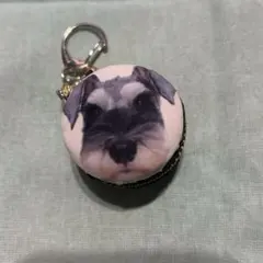 Item thumbnail for item 1ed9538e-ace8-4566-acb5-7c66615dd4c6