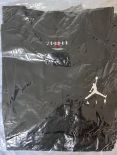 NIKE JORDAN Tシャツ AH5297-010 L