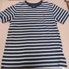 POLO RALPH LAUREN ストライプ Tシャツ 150