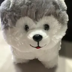 ころりんわんこのモフまる アラスカンマラミュートモフまる JB
