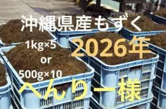 2025年産　沖縄県産　もずく（塩蔵）　1kgパック×5　漁師直送 送料無料のサムネイル