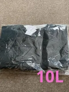 大きいサイズ　カットソーチュニック　10L