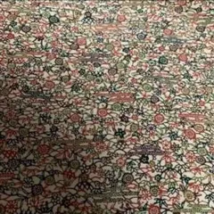 Item thumbnail for item 30fa88d8-4733-4575-aa7c-1e55e25c98ba