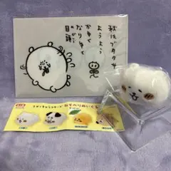 ナガノキャラクターズ☆くま☆ねそべりぬいぐるみ☆A5クリアファイル