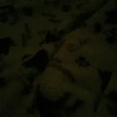 Item thumbnail for item fa8cf809-c577-4385-a67b-46c60c55c9e4