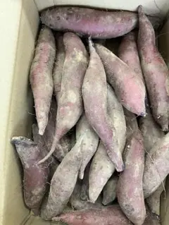 茨城産すずほっくり1箱5kg中小サイズのサムネイル
