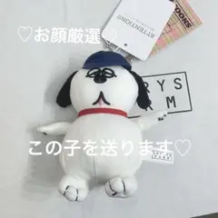 新品ローリーズファーム SNOOPYカラビナポーチ キーチェーンチャーム 