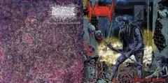 ＊新品特価CD MORTIFY：HUMAN CORPSE ABUSE/split