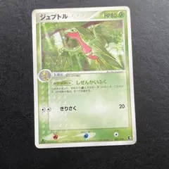 ポケモンカード ADVシリーズ ジュプトル 004/019 1ED - メルカリ