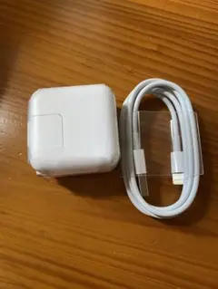 Apple 純正 iPhone iPad ACアダプタ 充電器10W