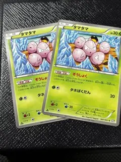 2025年最新】タマタマ ぞうしょくの人気アイテム - メルカリ