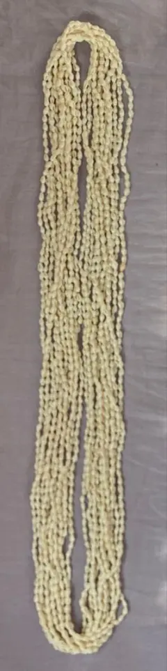 シェルレイ　12連