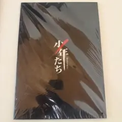 少年たち 闇を突き抜けて パンフレット