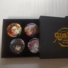 ワールドツアー　缶バッジ　鬼滅の刃　竈門炭治郎　宇髄天元　時透無一郎　U2