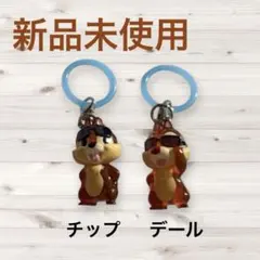 ディズニー Summer めじるしアクセサリー チップとデール 2点
