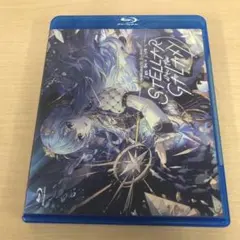 885.星街すいせい/Hoshimachi Suisei 1st Solo Li