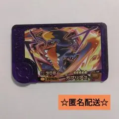 ポケモンフレンダスーパートレジャーガブリアス