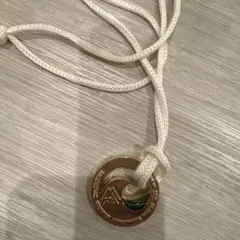 Item thumbnail for item 88801492-82e6-46c2-b048-c3aa17155081