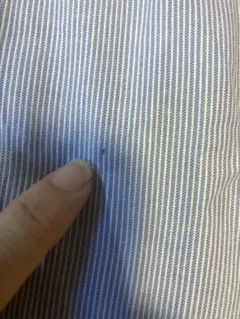 売約済み