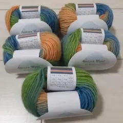 Aurora Wool グラデーション毛糸 25g　５玉　No.４
