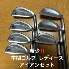 超希少‼️ LB 280レディース　本間ゴルフ　アイアンセット　6番〜SW 7本のサムネイル