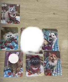 猫カフェ MOCHA イオンモール岡山店 にゃんずトレカ いちご収穫祭