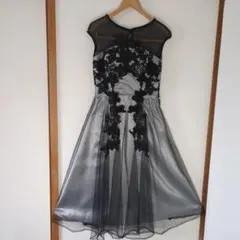 エレガントなレース装飾のドレス