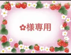 ︎✿様専用