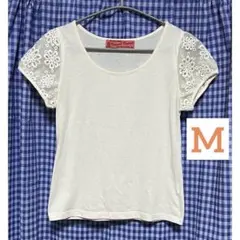 Item thumbnail for item ae69e1fe-6260-407a-bdc5-62ad58113911