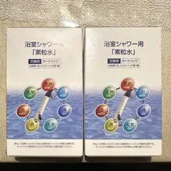 Item thumbnail for item 79731302-1107-4605-92de-807bb00346df