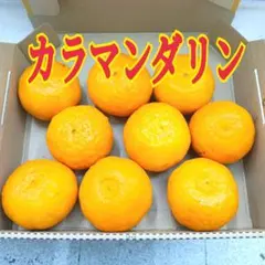 愛媛県産　カラマンダリンのサムネイル