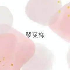 琴葉様 リクエスト 2点 まとめ商品