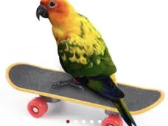 バードトイ オウムスケートボード スケボー 鳥のおもちゃ トレーニングカートのサムネイル