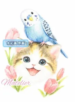 【お値下げ中】セキセイインコ　子猫　猫　水彩画　原画　癒し　インコ