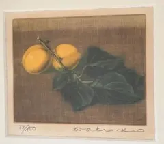 伊藤倭子 【杏】銅版画 メゾチント 1983年 日本版画協会 全道展会員 □P936□美品□伊藤倭子□銅版画/メゾチント□葡萄/ぶどう□真作