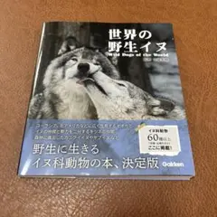 世界の野生イヌ