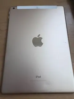 iPad Pro (11インチ) cellular 64G 藤本様 - メルカリ