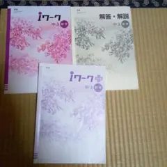 iワークとiワークプラス　中3 数学