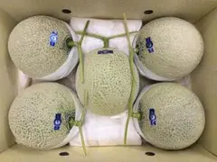 高知県産　温室マスクメロン　5玉入り 約9.7㎏（下箱込み）のサムネイル