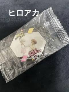 僕のヒーローアカデミア　お茶子&トガ　爆豪＆デク　マグネット