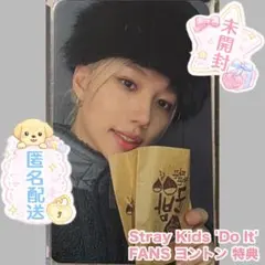 StrayKids スキズ DO IT FANS ヨントン 特典 フィリックス