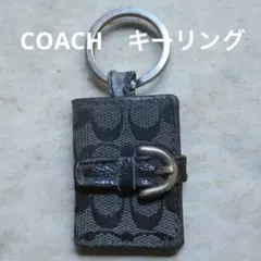 2025年最新】コーチ 写真入れ キーホルダーの人気アイテム