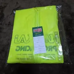 Item thumbnail for item c4963edf-d201-486c-97d6-ce8eb4c34e5f